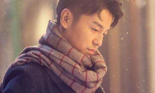 袁泉雷佳音一起演过的电视剧(雷佳音与袁泉的电视剧)