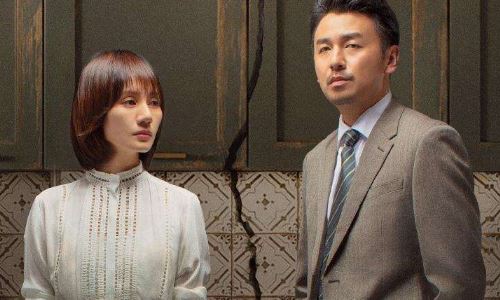 袁泉雷佳音一起演过的电视剧(雷佳音与袁泉的电视剧)