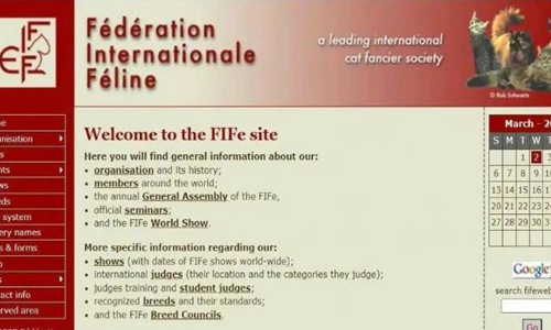 俄罗斯的猫受到了制裁。网友:猫有什么疯狂的?