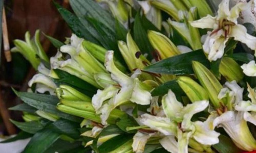 东航mu5735飞机(东航mu5735选座)