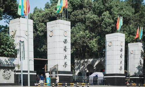 西南大学美术学院教师何磊被拘留、免职。网友:是你应得的。