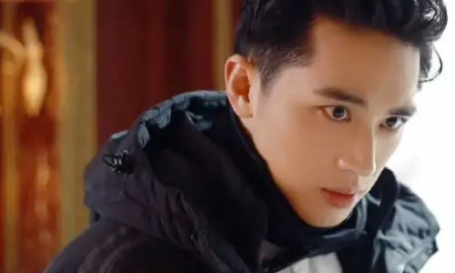 许魏洲为什么那么多黑粉(许魏洲粉丝回踩)