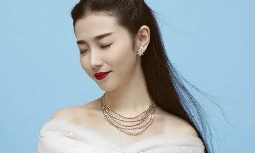 母神张辛苑什么梗(张辛苑为什么叫母神)