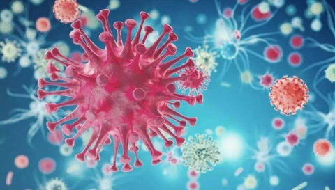 感染高危型hpv52致癌率(高危型hpv感染其他阳性致癌率多高)