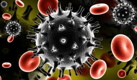感染高危型hpv52致癌率(高危型hpv感染其他阳性致癌率多高)