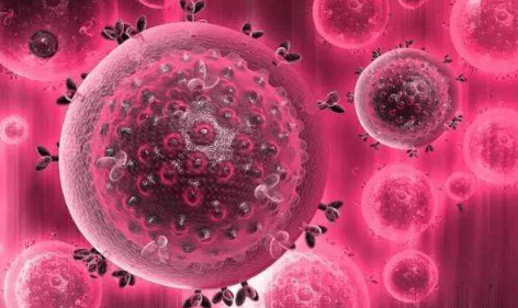 感染高危型hpv52致癌率(高危型hpv感染其他阳性致癌率多高)