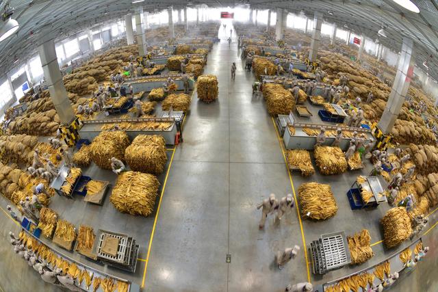 2021年烟草行业实现税利总额1.35万亿 同比增长3.36%