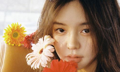 网络名人胡和费有什么关系?