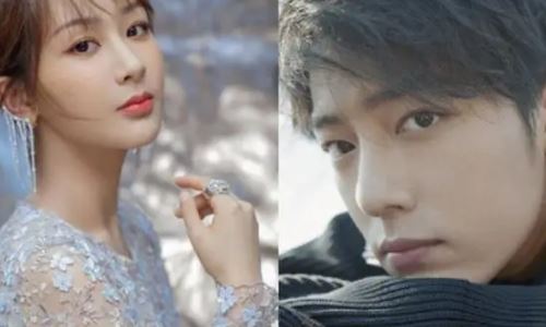 杨紫和肖战拍的电视剧开播了吗(杨紫和肖战拍过哪一部戏)