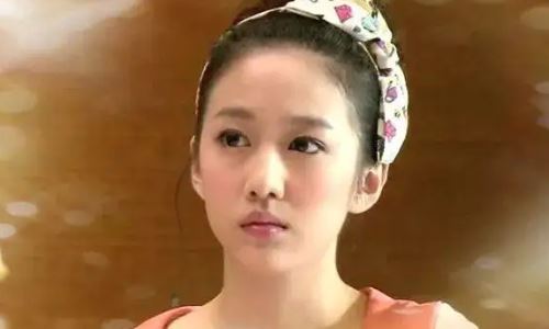 刘美含拍过哪部电视剧(演员刘美含个人资料)