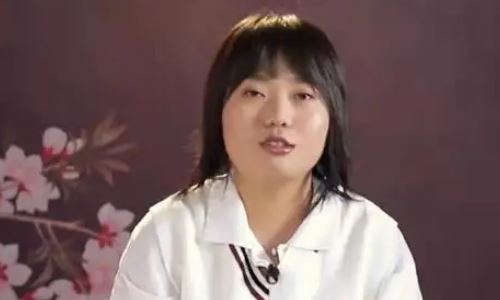 李雪琴说自己是网红的一股清流(令人心动的offer 李雪琴王建国)