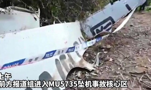 东航遇难者有专家学者在飞机上吗(东航遇难者有没有可能存活)