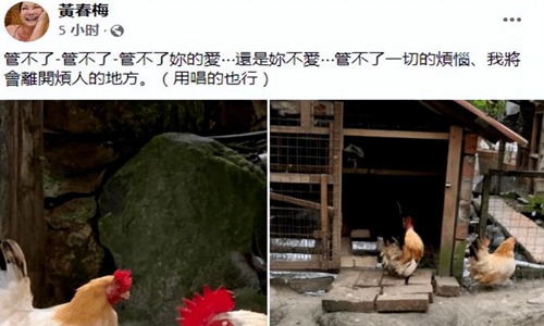 大s具俊晔没见面怎么登记结婚(大s具俊晔婚后同框照)