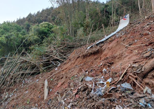 网传东航客机引发山火视频是假的 这些消息都是谣言！