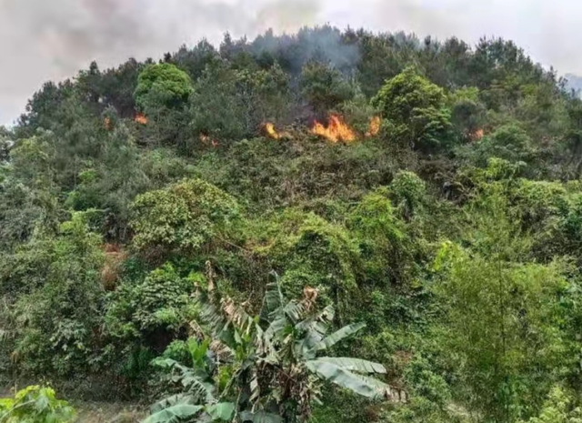 网传东航客机引发山火视频是假的 这些消息都是谣言！