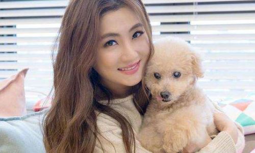 任家萱selina恋爱(selina任家萱前夫)