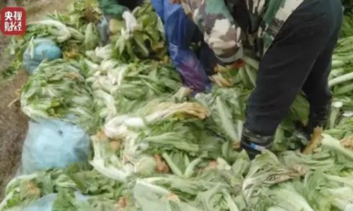 七彩实业董事长为坑内酸菜问题道歉。员工:行业已经满目疮痍。