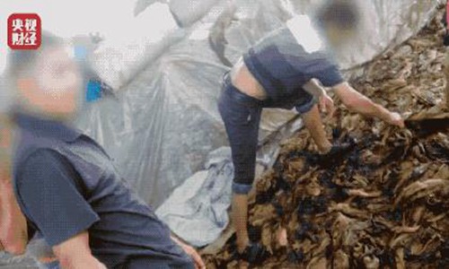 七彩实业董事长为坑内酸菜问题道歉。员工:行业已经满目疮痍。