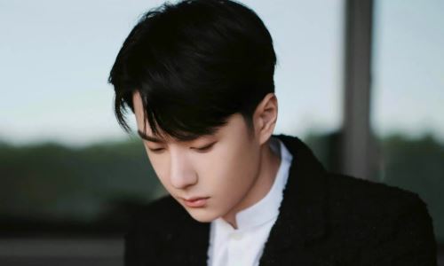 王一博个人资料简介及家世介绍(王一博个人资料简介和身高是多少)