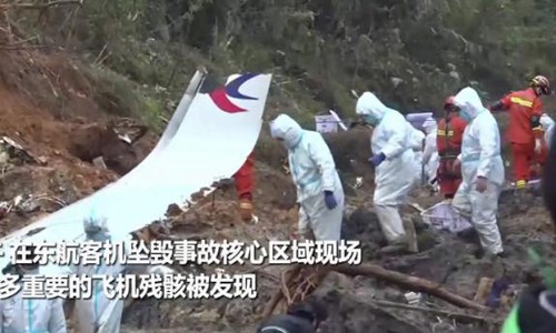 东航遇难者有专家学者在飞机上吗(东航遇难者有没有可能存活)