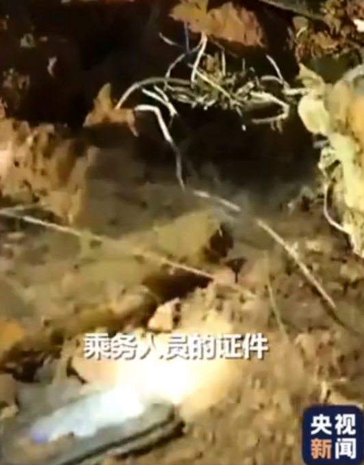 记者捂住乘务人员证件：不要给特写 希望它们的主人还能平安