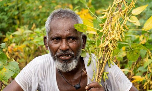 印度疫情vs美国疫情(印度疫情最新数据今天有多少)