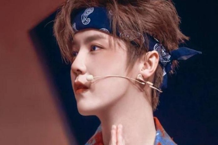 鹿晗资讯图片(鹿晗早期人气)