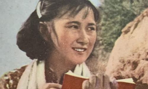 老演员金迪近况(电影明星金迪今年多少年龄)