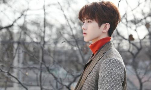 工作室对6400万元冻结的回应与专辑版权有关。