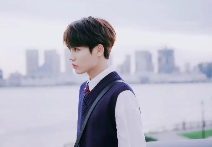 林彦俊为什么会被冷藏(林彦俊是什么原因被雪藏)