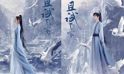 杨洋和赵露思一起演的影视有什么(杨洋和赵露思是情侣吗)