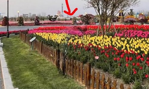 男人花3个小时画他们自己看不见的花。这是怎么回事?王良,细节很深刻。