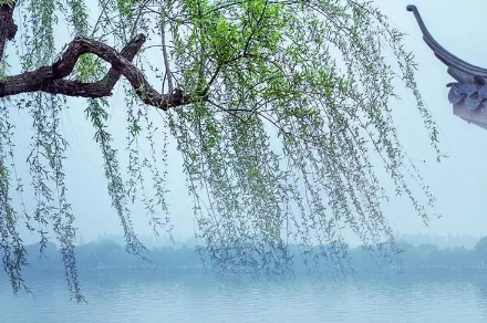 2022年清明节哪天扫墓日子最好(清明节在门口插柳枝是什么习俗)