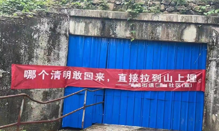 清明节外出踏青怎么回事(清明节期间可以外出旅游吗)