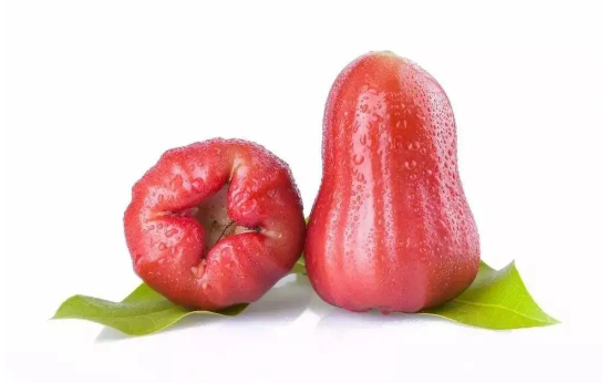 莲雾里的白色虫子是寄生虫吗(莲雾里面有虫能吃吗)