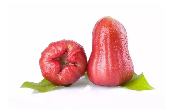 青枣的口感和莲雾的口感(莲雾可以和青枣一起吃吗)