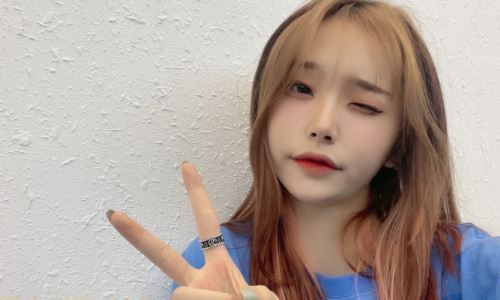 布丁和鲨鱼直播回放完整版(抖音布叮在哪里直播)