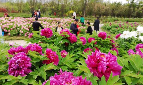 2022五一可以在省内旅游吗(五一还能去北京旅游吗)