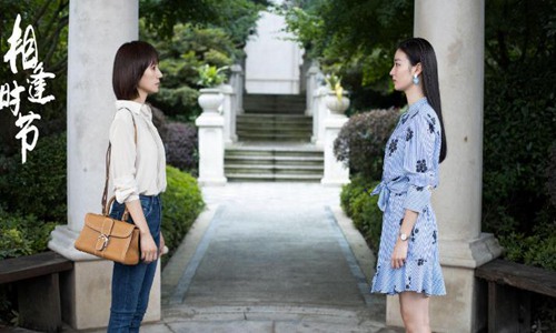 袁泉雷佳音简介(相逢时节袁泉雷佳音的关系)