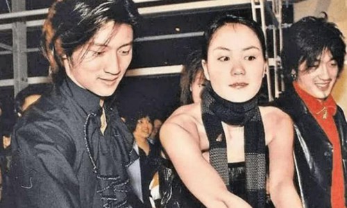 谢霆锋是怎样认识王菲的(谢霆锋与王菲状态)