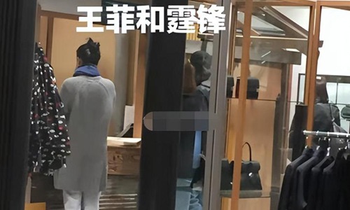 谢霆锋是怎样认识王菲的(谢霆锋与王菲状态)