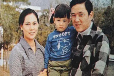 王羽林青霞事件(王羽和林青霞什么关系)