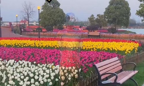 男人花3个小时画他们自己看不见的花。这是怎么回事?王良,细节很深刻。