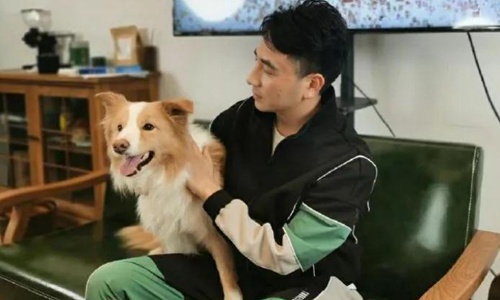 林生斌事件女方(林生斌承认与现任妻子的关系)