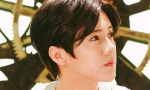 鹿晗关晓彤谁家境更好(鹿晗和关晓彤如今的发展)