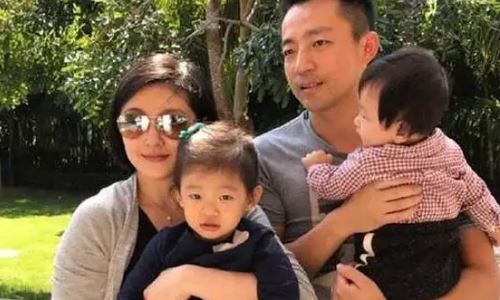 大家为何力挺汪小菲离婚(汪小菲爆梗)