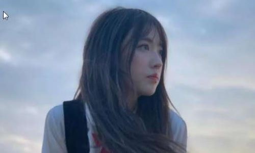 抖音杀猪饲料详细资料(抖音杀猪饲料为什么那么火)