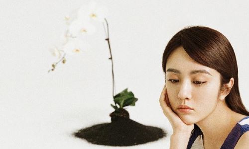 王晓晨主演最新电视剧有哪些(王晓晨主演过电视剧有哪些)