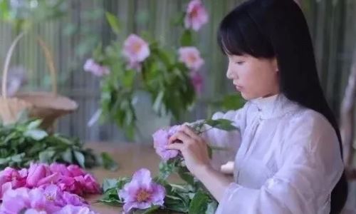 网红李子柒的现状如何(网红李子柒背后的真相)