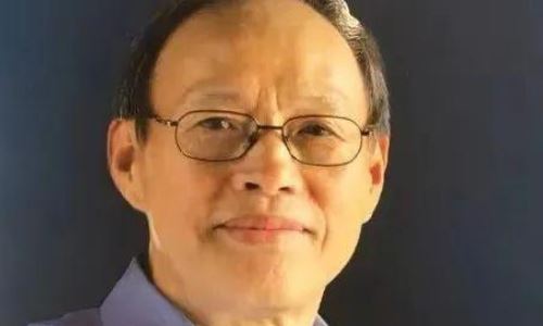 刘子枫照片(张子枫最佳女配角获奖)